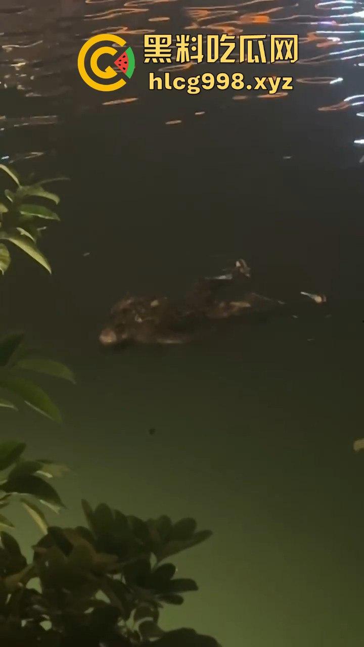 瓜友爆料！成都兰桂坊门口河里惊现浮尸，场面诡异引发热议！-8