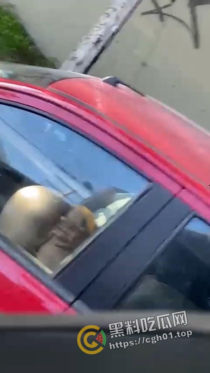 标题 外网疯传 老外诚会玩！等红绿灯抠个逼 扣的美鲍鱼抽搐喷水 师傅开个门 我也想上车-3