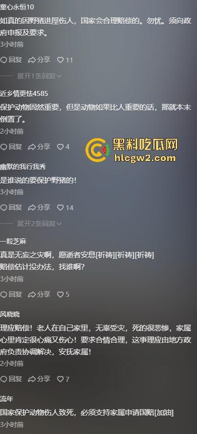 陕西安康野猪闯入民宅撕咬老人致死，老人被反复顶撞撕咬惨不忍睹，野猪仍在追捕中！-5