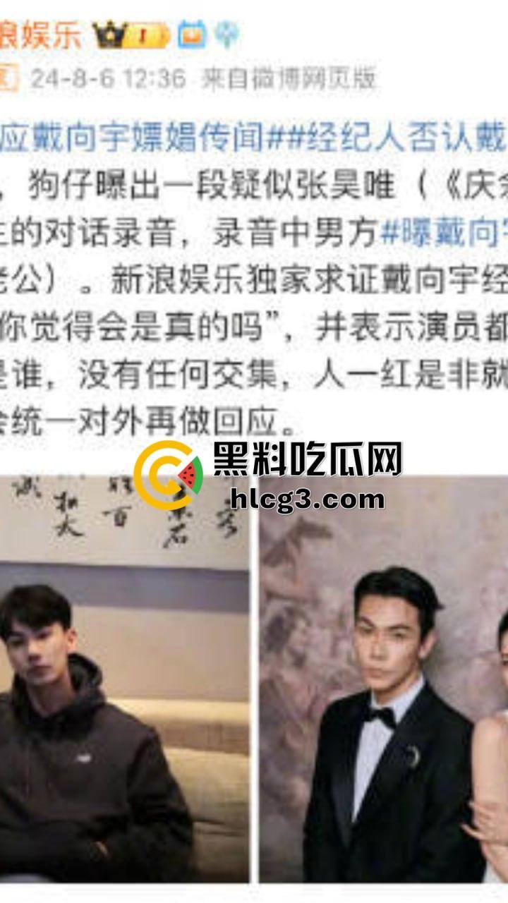 李易峰嫖娼后续挖出陈紫函老公戴向宇参与嫖娼，张昊唯曝出戴向宇嫖娼录音，戴向宇为证清白开无犯罪记录！-5