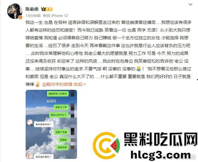 李易峰嫖娼后续挖出陈紫函老公戴向宇参与嫖娼，张昊唯曝出戴向宇嫖娼录音，戴向宇为证清白开无犯罪记录！-6