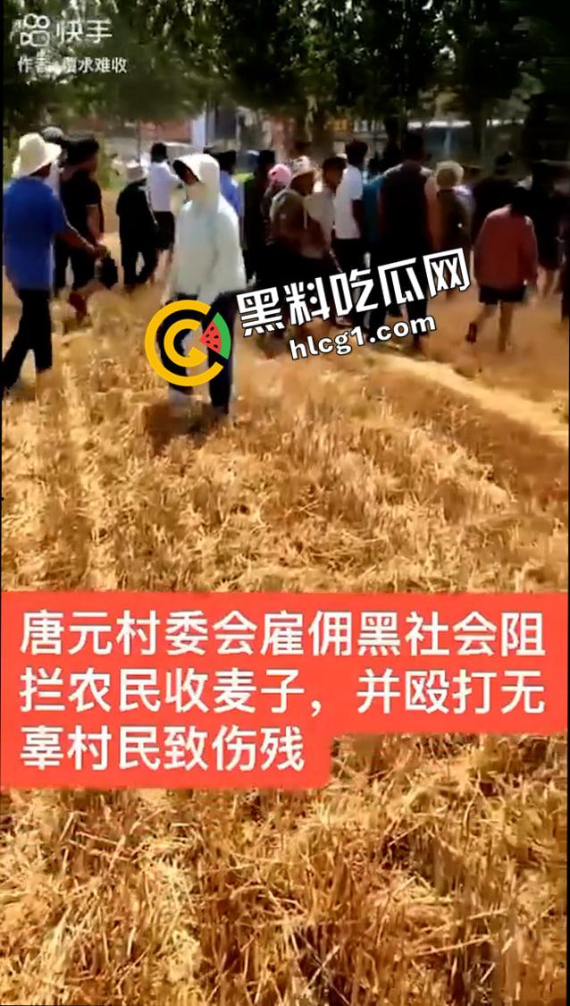 山东聊城 唐元镇村委会雇佣社会人员殴打村民  警察在一旁毫无作为 抖音删帖原视频-2