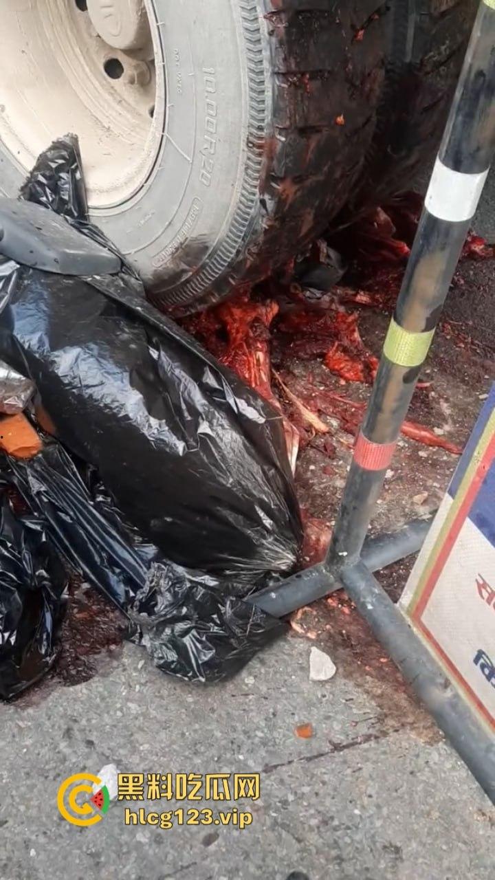 血腥慎点！太惨烈！尼泊尔一男子遭货车碾压拖行 “肠子都出来了！”-8