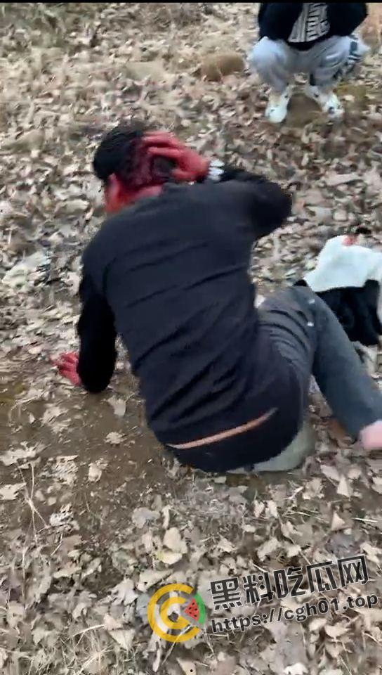 河南精神小伙霸凌同学 打的浑身是血求饶 头发被染红 河南不大 创造神话-4