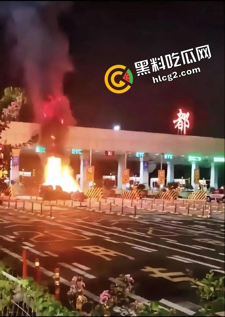 四川成都宝马新能源电车自燃事件！男子超速撞上安全岛 车毁人亡 瞬间火葬当场！-8