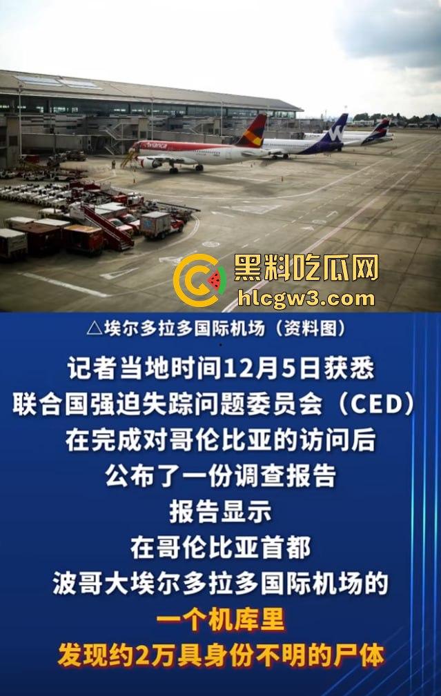 哥伦比亚波哥大国际机场惊现约2万具尸体！神秘发现震惊世界，背后藏着怎样的秘密？-10