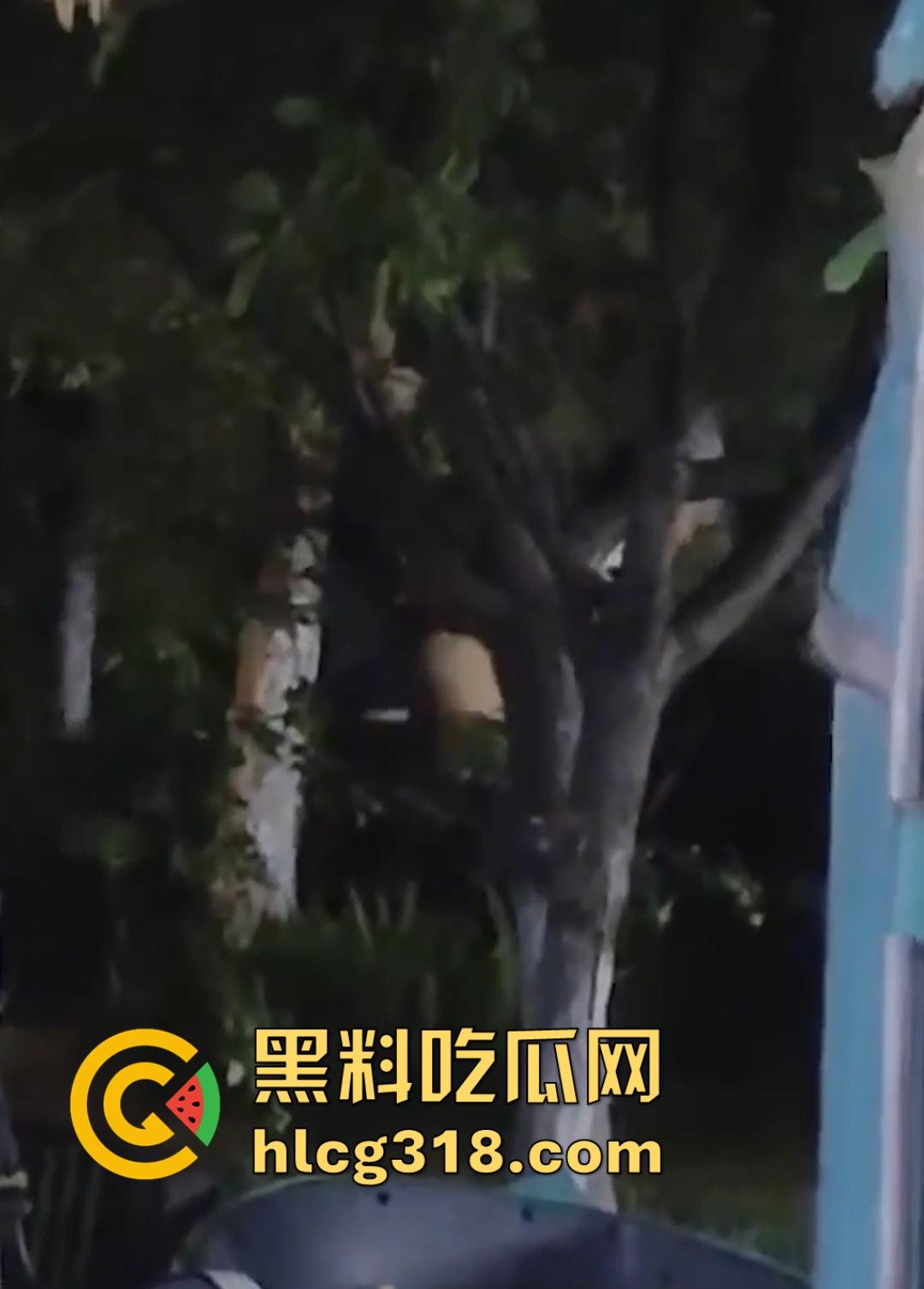 山东东营大爷大妈夜市小树林大战！直立后入爆操，激烈而迅猛，但仅仅只维持了一分多钟就潦草收场！-5