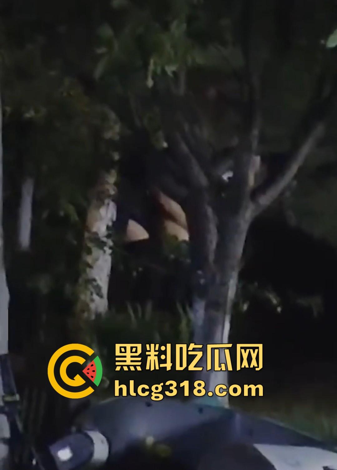 山东东营大爷大妈夜市小树林大战！直立后入爆操，激烈而迅猛，但仅仅只维持了一分多钟就潦草收场！-6