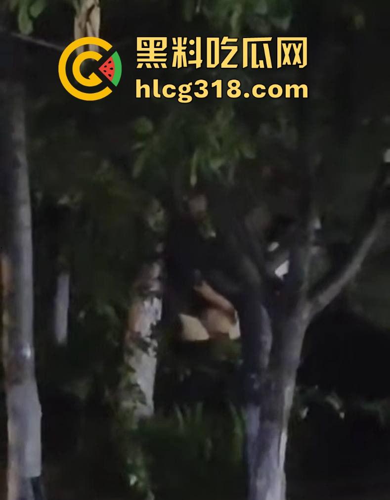 山东东营大爷大妈夜市小树林大战！直立后入爆操，激烈而迅猛，但仅仅只维持了一分多钟就潦草收场！-9