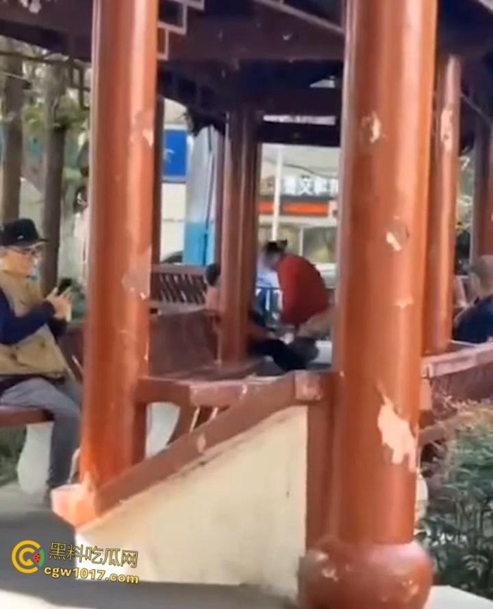 大白天凉亭活春宫，红衣大妈脱裤骑大爷，女上位啪啪响场面极其辣眼睛，大爷满脸春光，围观老头脸都红爆了 ！-2