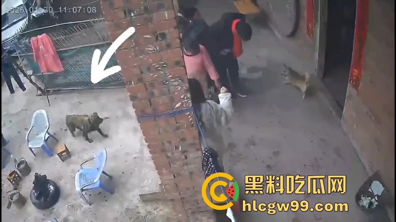 重庆狗子掉进粪坑惨变生化武器 出坑后全家总动员 结果反被狗狂追满院狂喷 粪味冲天！-7