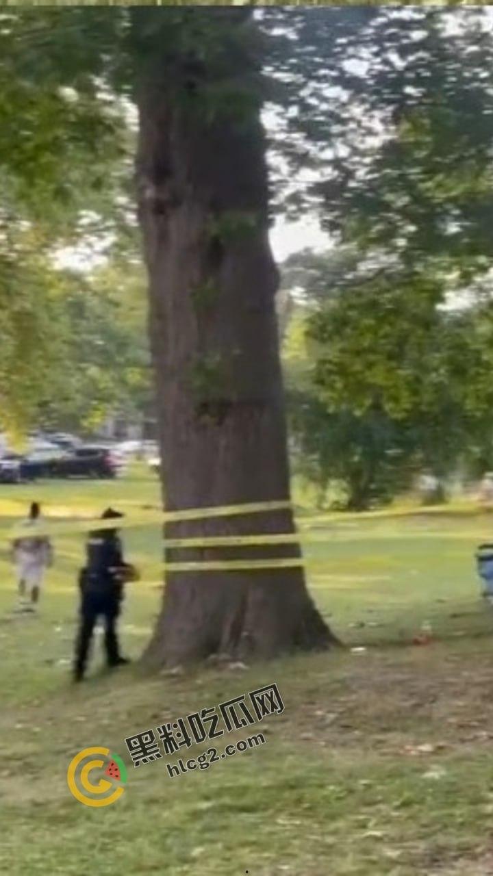 自由美利坚的凶暴现实！纽约罗切斯特市公园枪击事件，1死6伤引发社区恐慌！-1