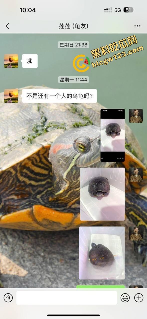 小区楼下遛乌龟竟钓到邻居骚少妇39岁『张珊珊』口活惊艳，屁股一摇榨汁三升，送龟送到床上操！-1