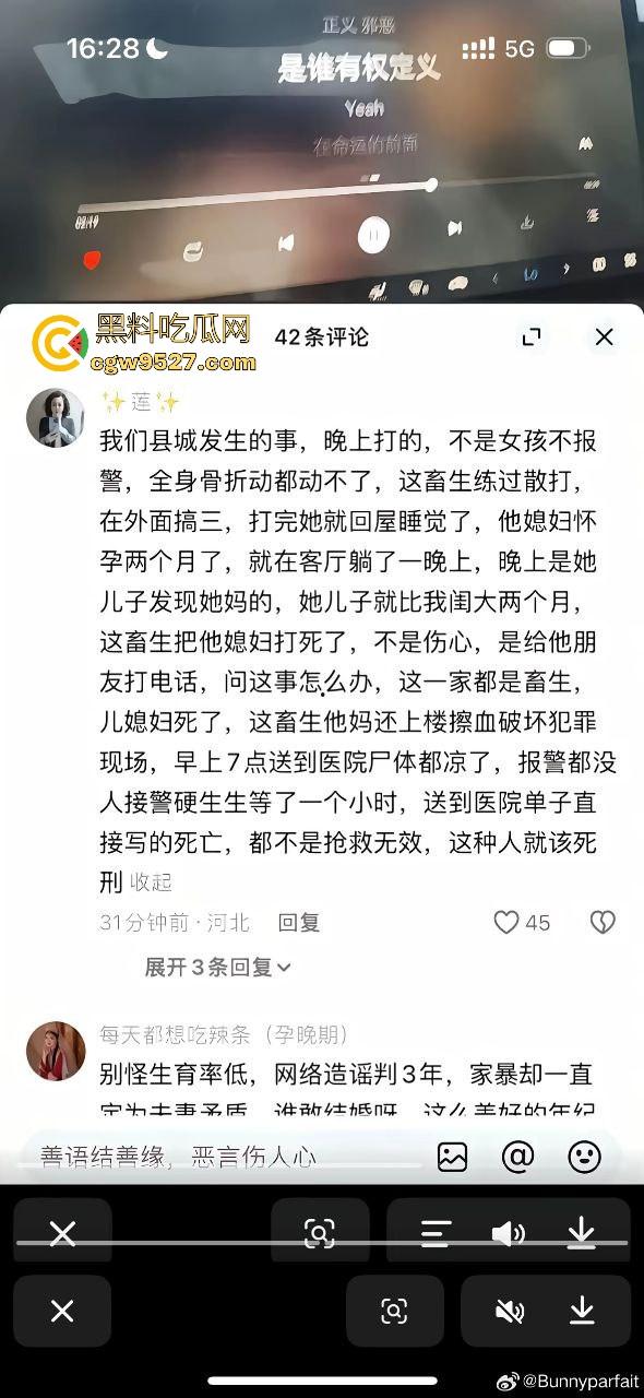 婚内出轨不稀奇，河北检察官【金昊】出轨还家暴杀妻？怀孕三月妻子被活活打死，一尸两命成了出轨的投名状？-6