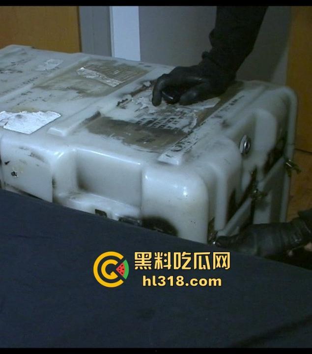 欧美重口味调教！插入充气式肛塞，菊花塞入电击遥控跳蛋，塞进行李箱，运输到下一个调教地点！-9