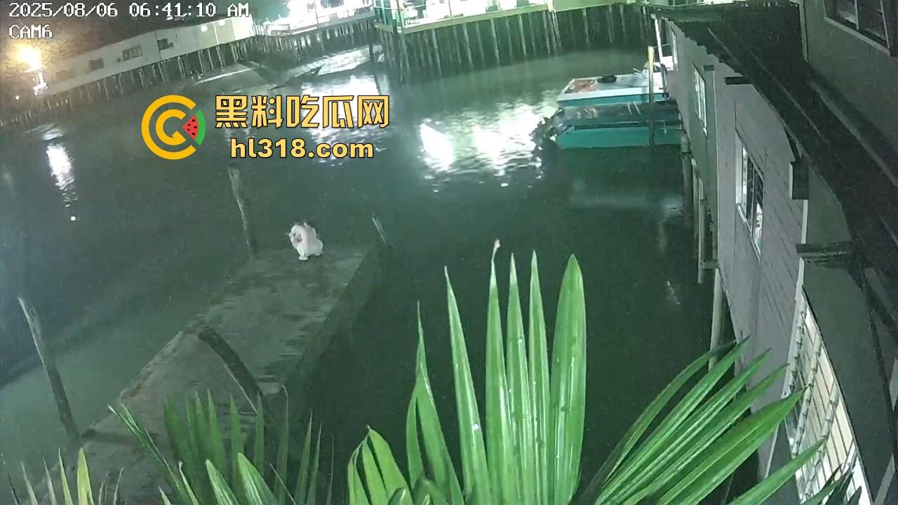 马来西亚母携女跳海轻生,疑似家庭纠纷和争夺抚养权问题，这女真狠啊，自己想不开还带上自己女儿！-3