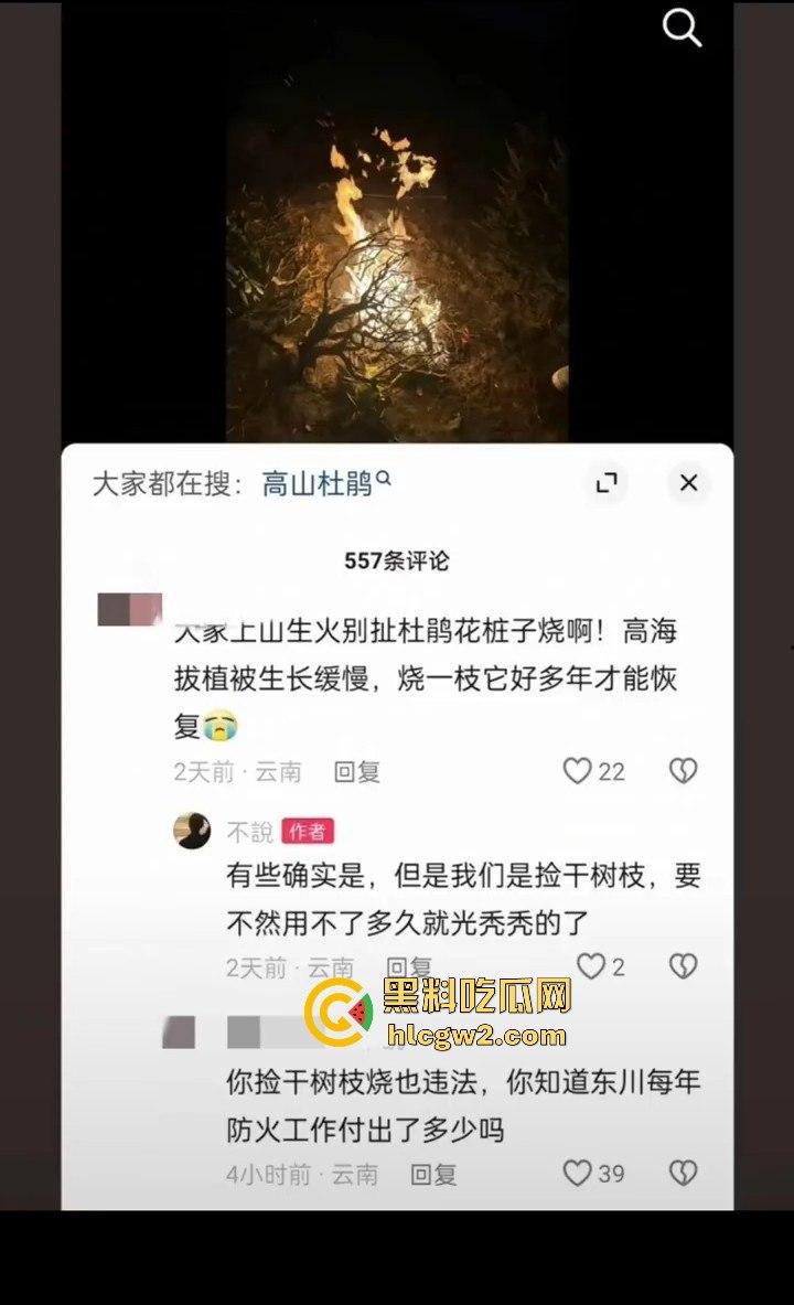 青春无售价却纵火韶山！无知大学生云南东川大牯牛山放火毁二级保护植物 杜鹃花全军覆没！-4