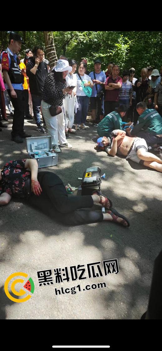 吉林四名外国教师公园参观被刺杀 凶手仍流落在外 现场血腥视频流出-2