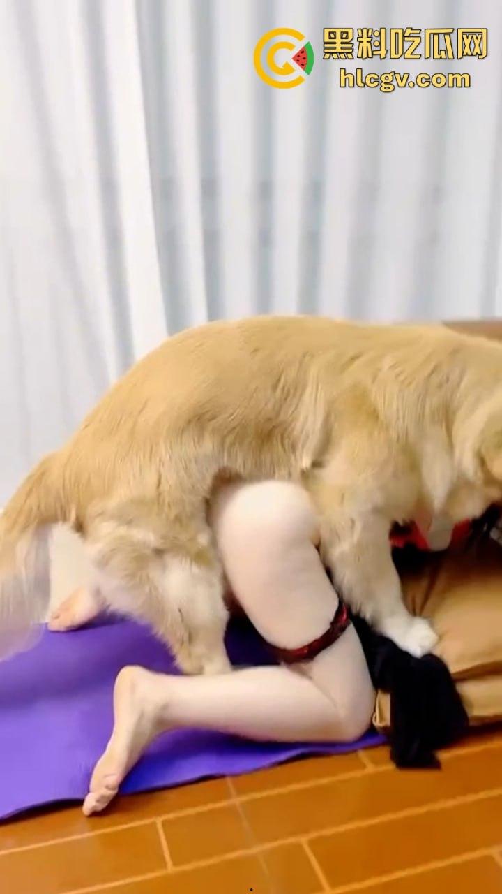 抖音小姐姐【香香公主】给科普兽交注意事项 每天都在和金毛上演人兽配！-9